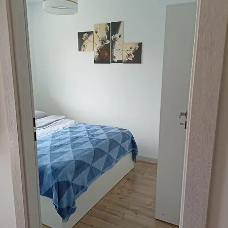 Maczka 2